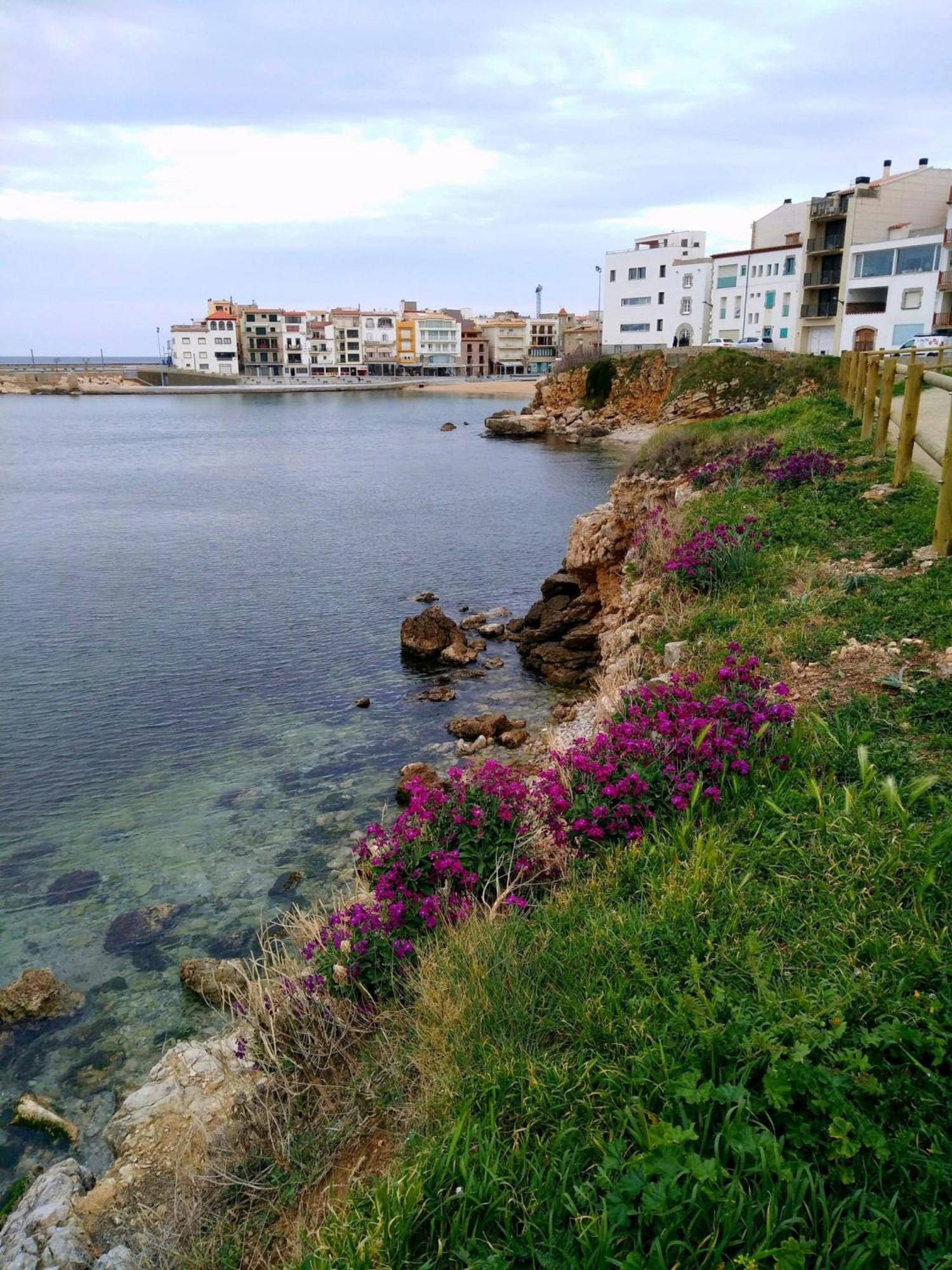 Апартаменти Passeig Del Mar Л'Аскала Екстер'єр фото